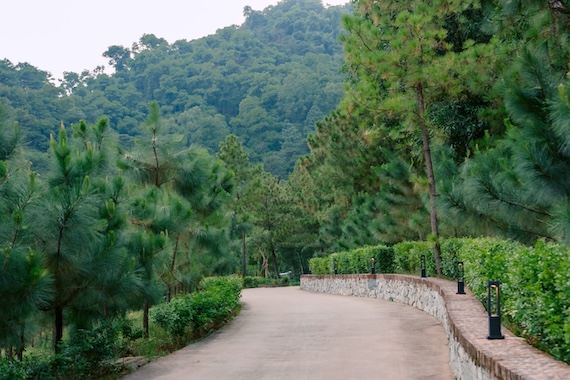 Con đường dạo bộ rợp bóng mát bao quanh bởi rừng thông xanh mát và núi đồi tại Soc Village