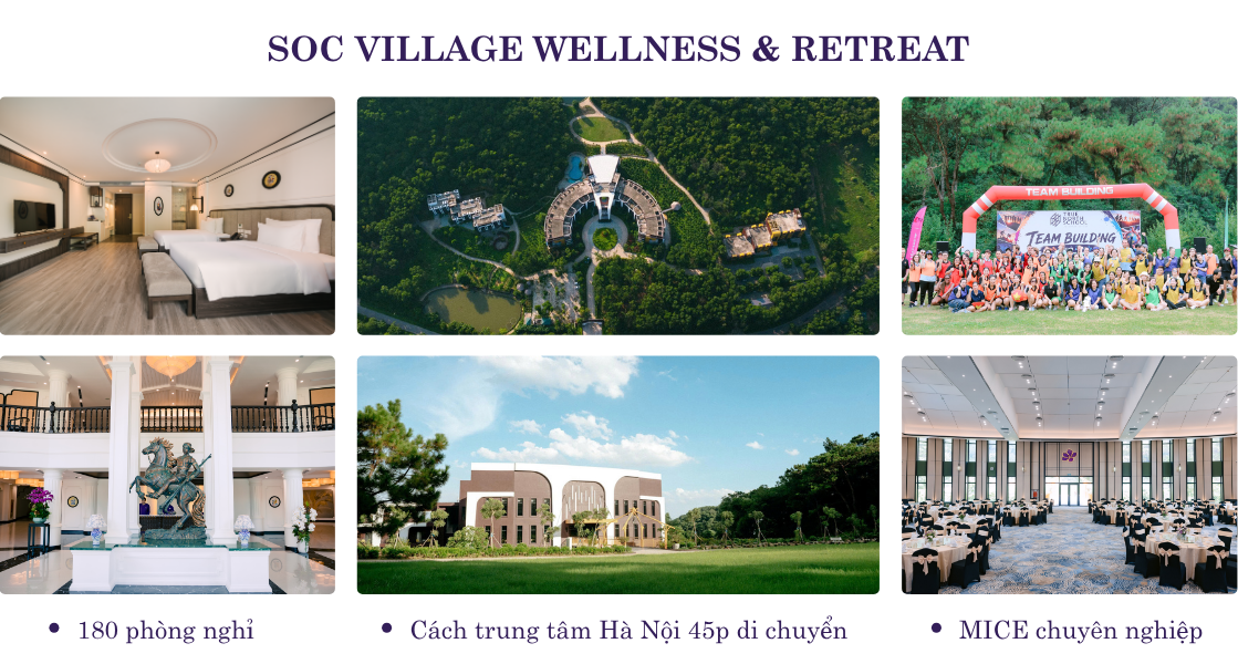 Bảng tổng quan thông tin dịch vụ, phòng nghỉ và hội trường tại Soc Village Wellness & Retreat