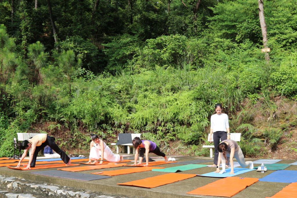 Nhóm người tập yoga ngoài trời giữa rừng xanh tại Sóc Village